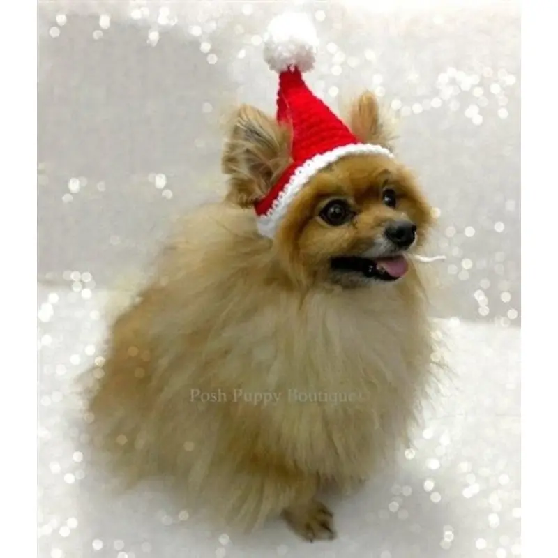 Crochet Santa Hat