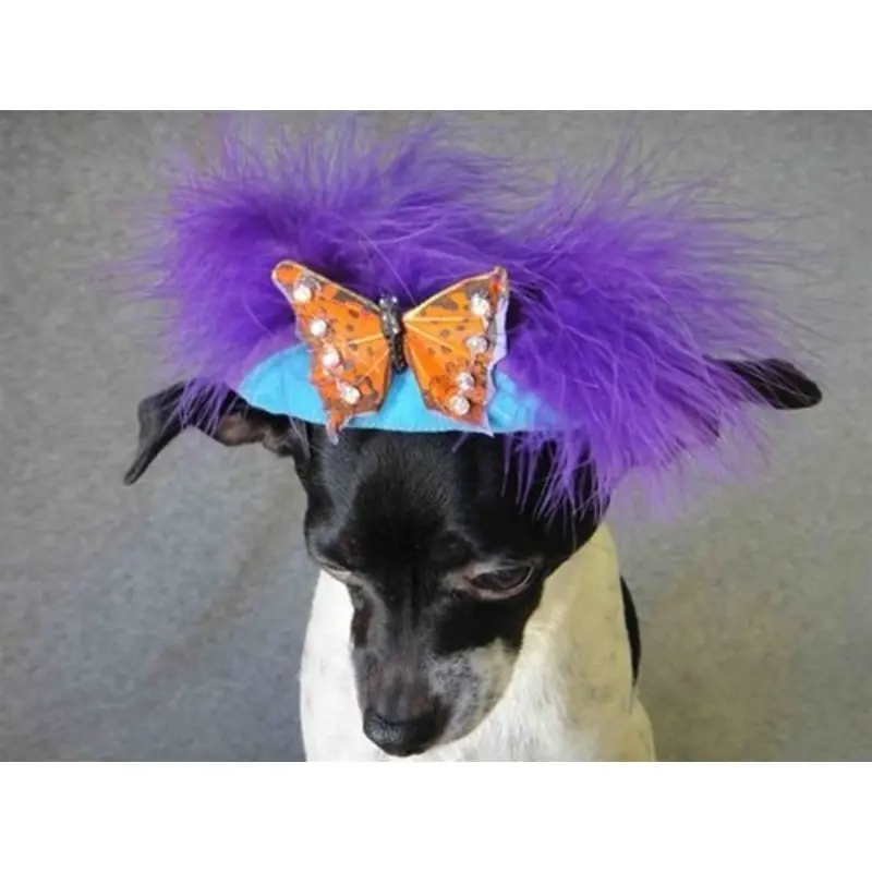 Purple Feather Orange Butterfly Teal Hat - Cat or Dog