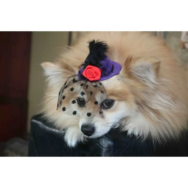 Purple Mini Hat with Veil