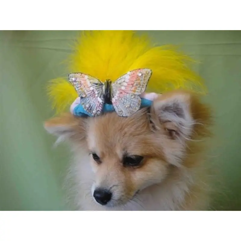 Yellow Feather Butterfly Teal Hat - Cat or Dog