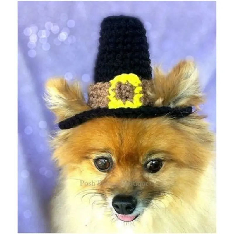 Crochet Pilgrim Beanie Hat
