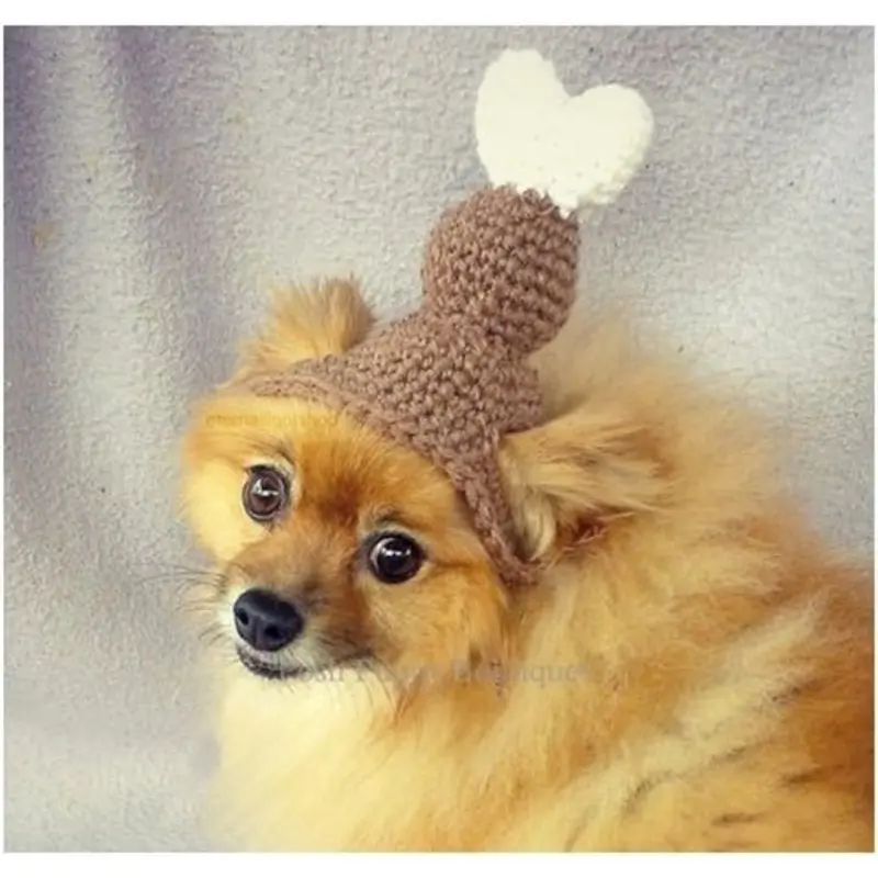 Crochet Thanksgiving Turkey Leg Beanie Hat