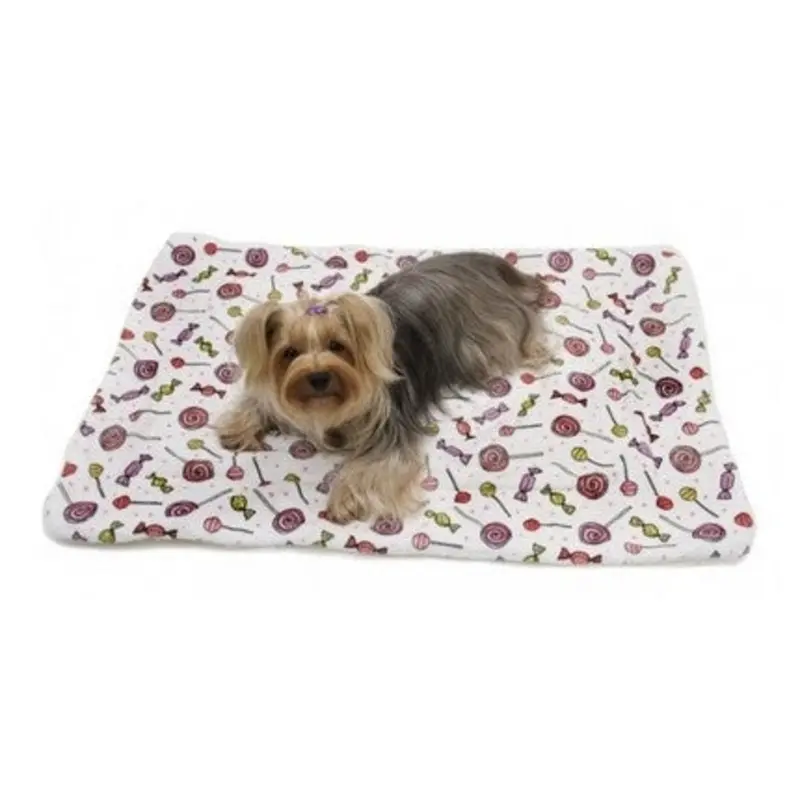 Ultra Soft Minky-Plush Sweet Candies Blanket