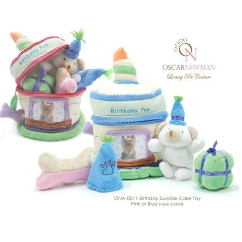 Birthday Surprise Cake Toy