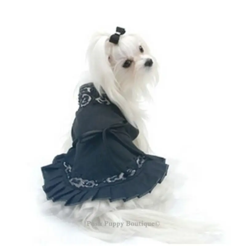 Midnight in Paris Dress
