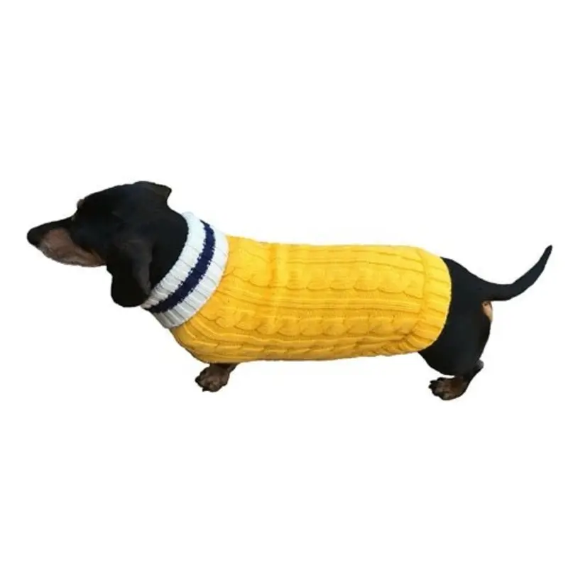 Preppy Puppy Collection in Yellow