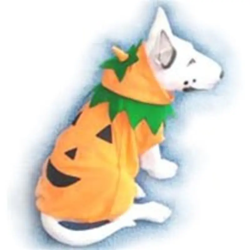 Pumpkin Costume