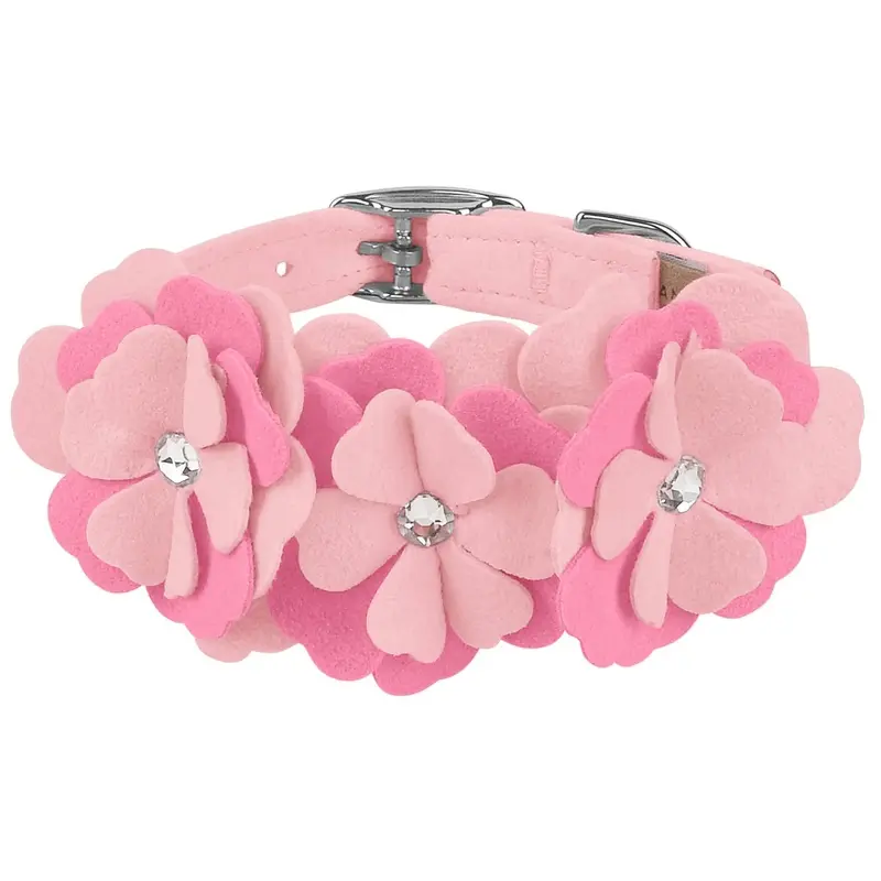 Susan Lanci Alexandra Collar