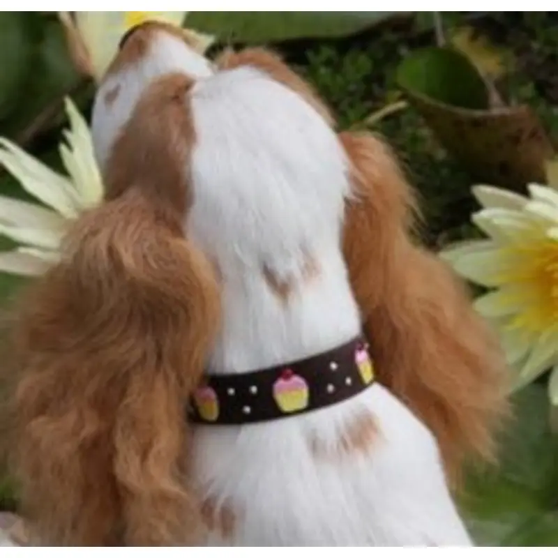 Susan Lanci Cupcake Collection Ultrasuede Dog Collars - Many Colors