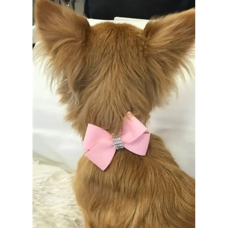 Susan Lanci Nouveau Bow Ultrasuede Collar in Many Colors