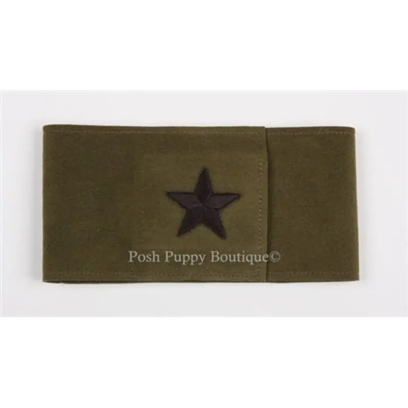 Susan Lanci Star Wizzers Bellyband