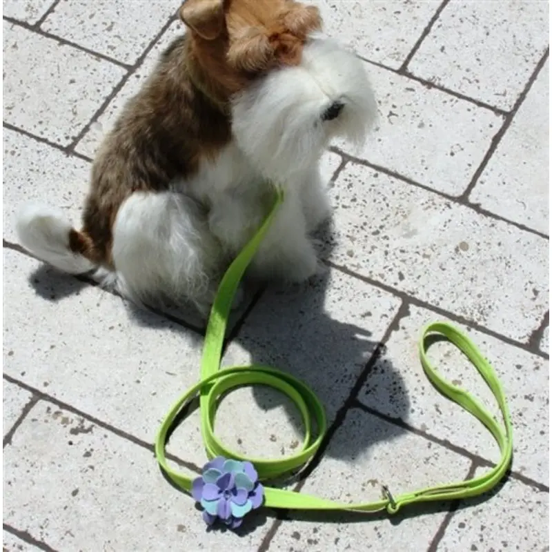 Susan Lanci Emma Leash
