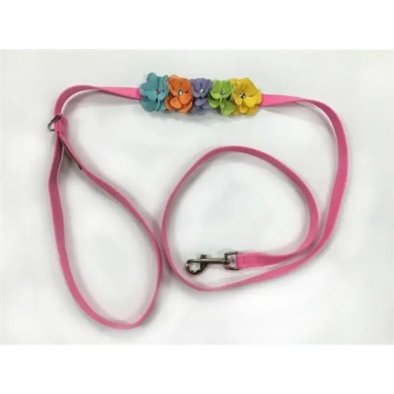 Susan Lanci Rainbow Tinkies Garden Dog Leash