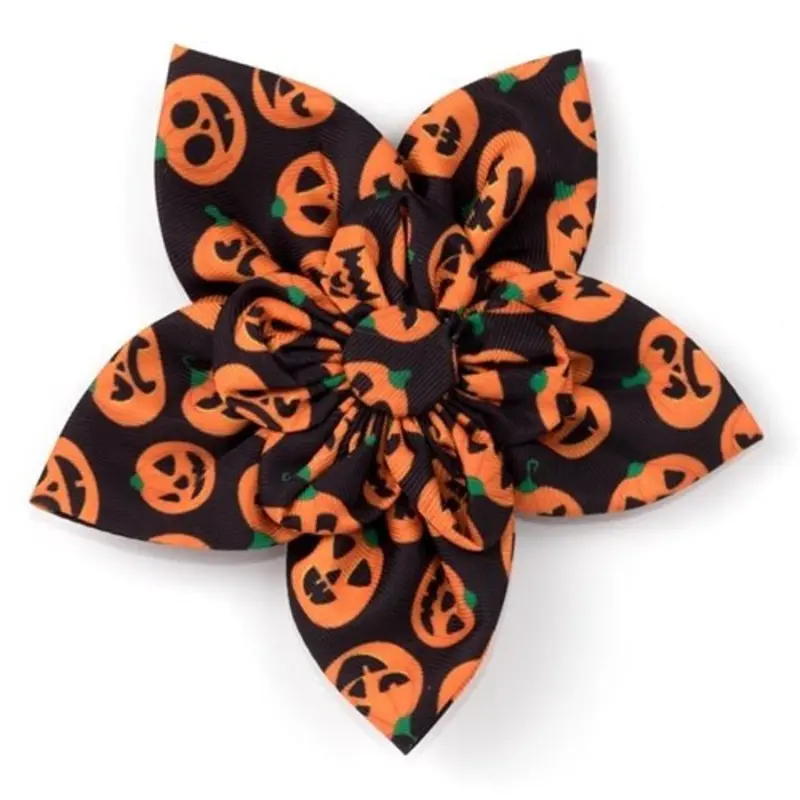 Jack-O'-Lantern Flower