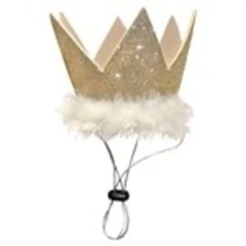 Party Crown in Gold