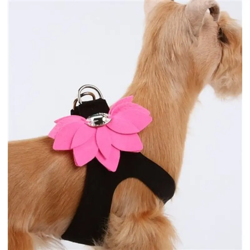 Susan Lanci Water Lily Two Tone Step In Harness - Black with Perfect Pink