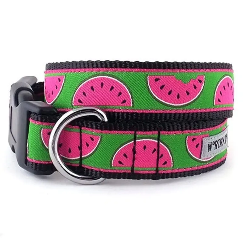 Watermelon Collar and Lead Collection