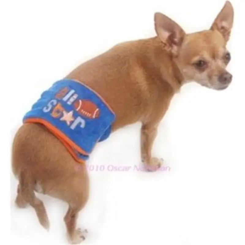 All Star Football Belly Band