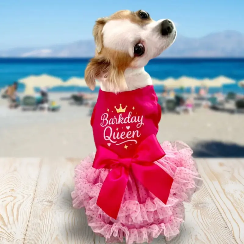Barkday Queen Tiered Dog Tutu Dress