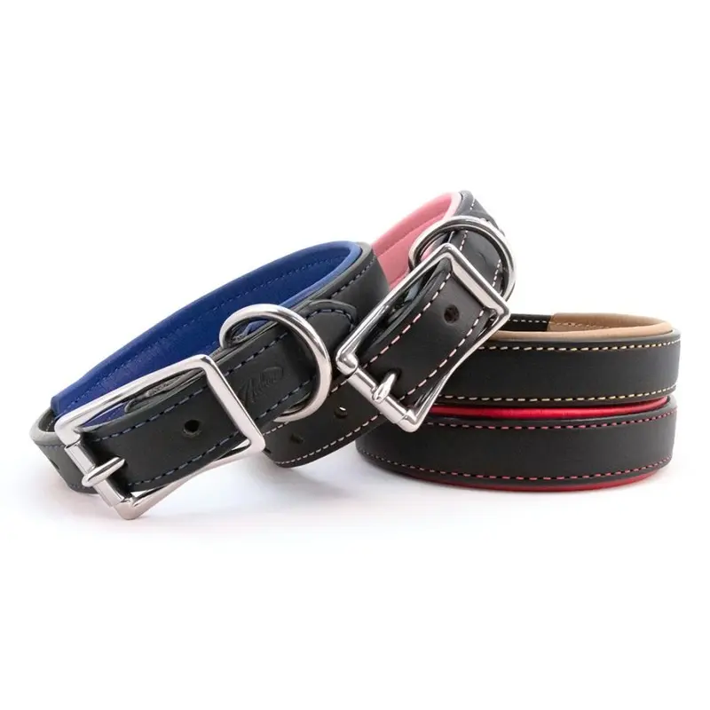 Padded Leather Collar in Many Colors