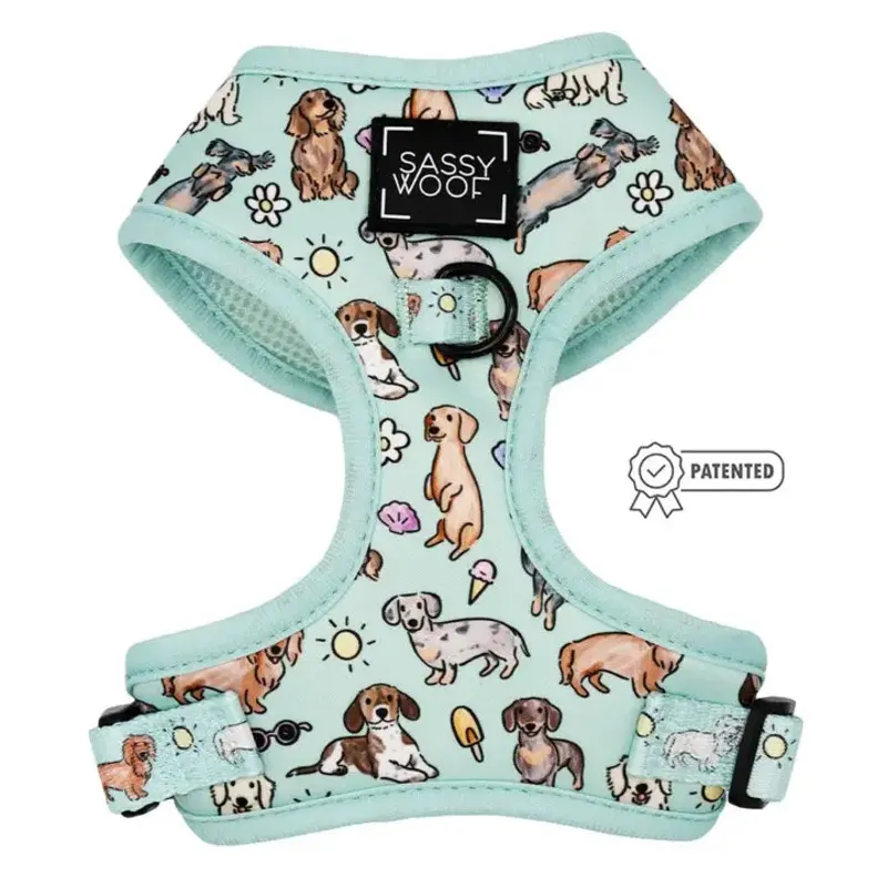 Hot Dog Days Adjustable Harness