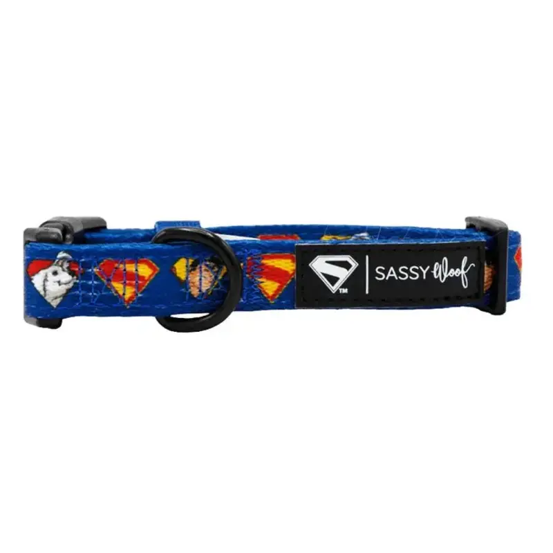 Superman & Krypto Collar