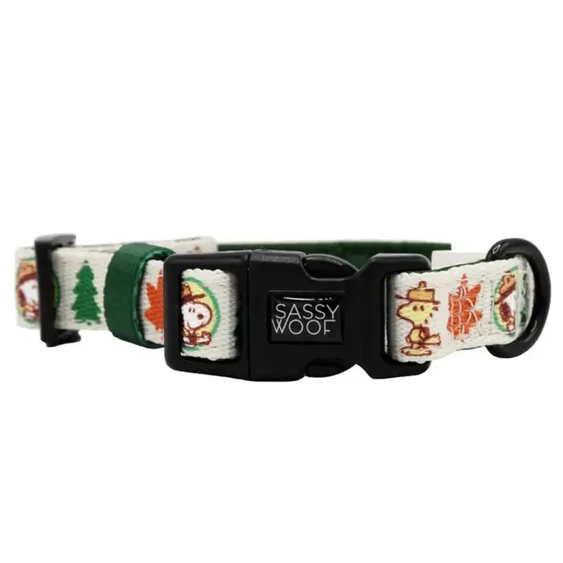 Peanuts Beagle Scouts Collar