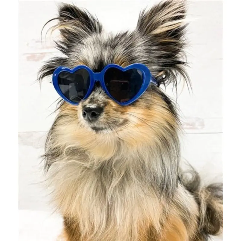 Tiny Dog Heart Sunglasses in Navy