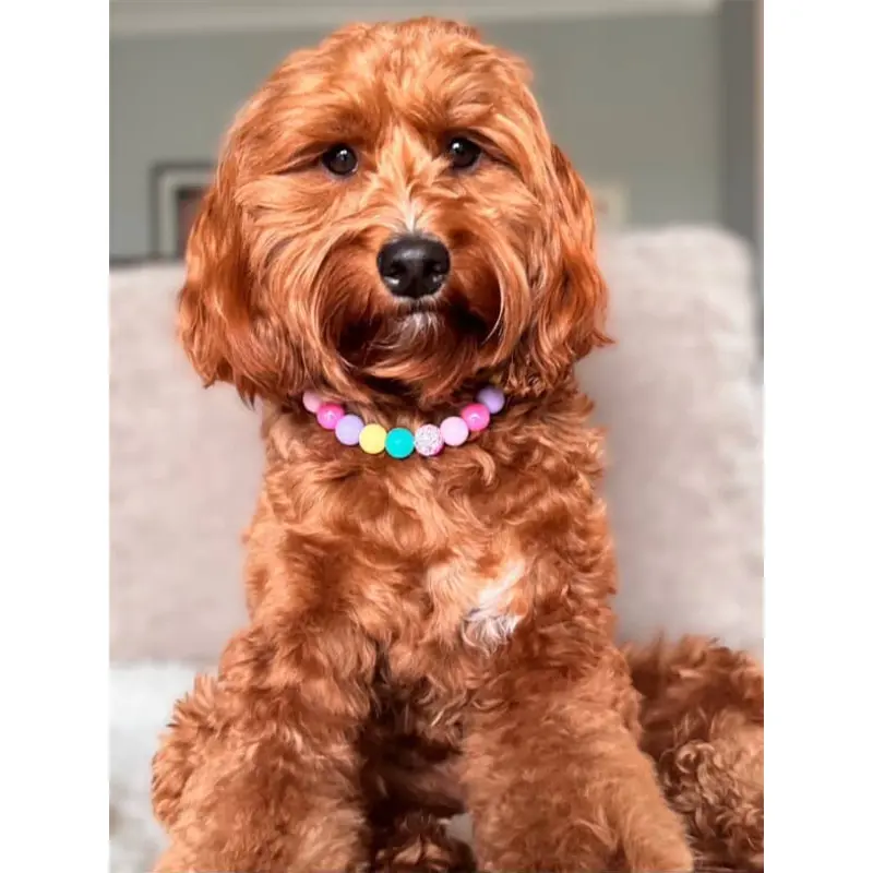 Trixie Beaded Pet Collar