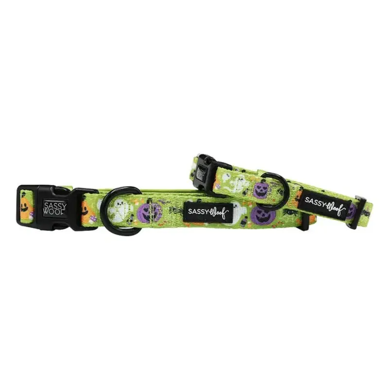 Haunt Mess Dog Collar