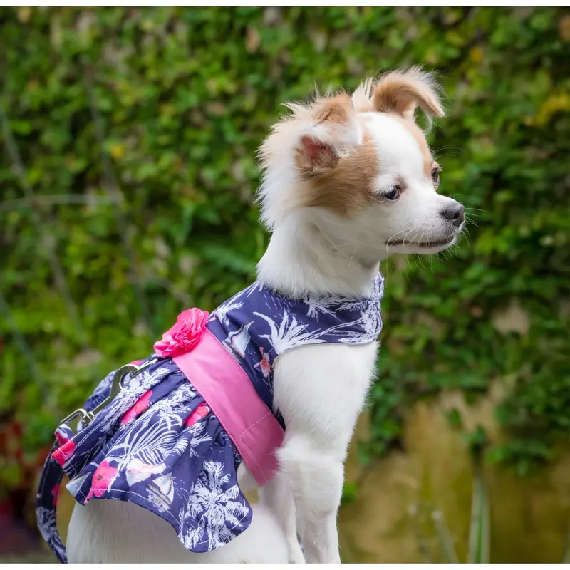 Moonlight Sails Dog Dress with Matching Leash