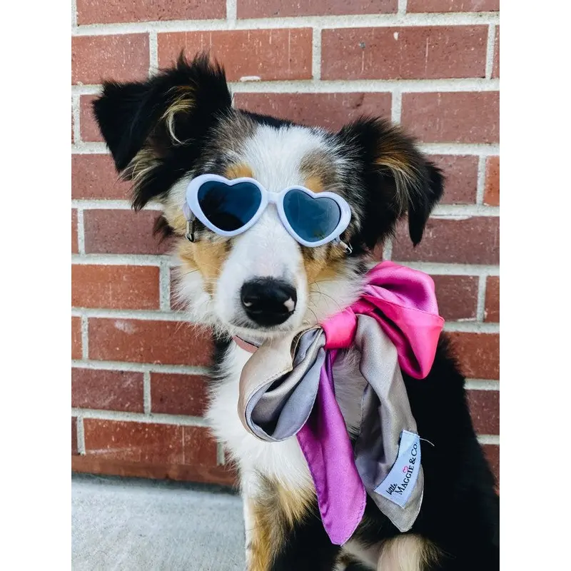 Tiny Dog Heart Sunglasses in White