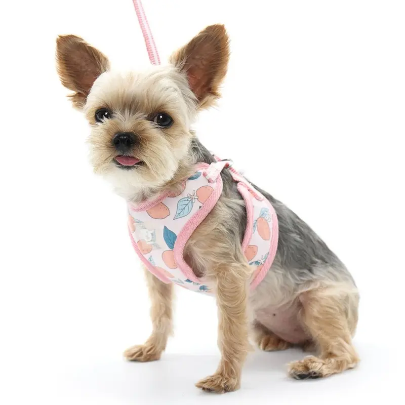 EasyGo Lemon Harness in Pink