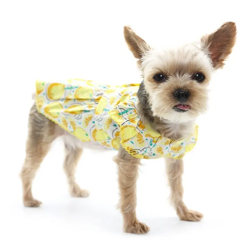Lemonade Dress