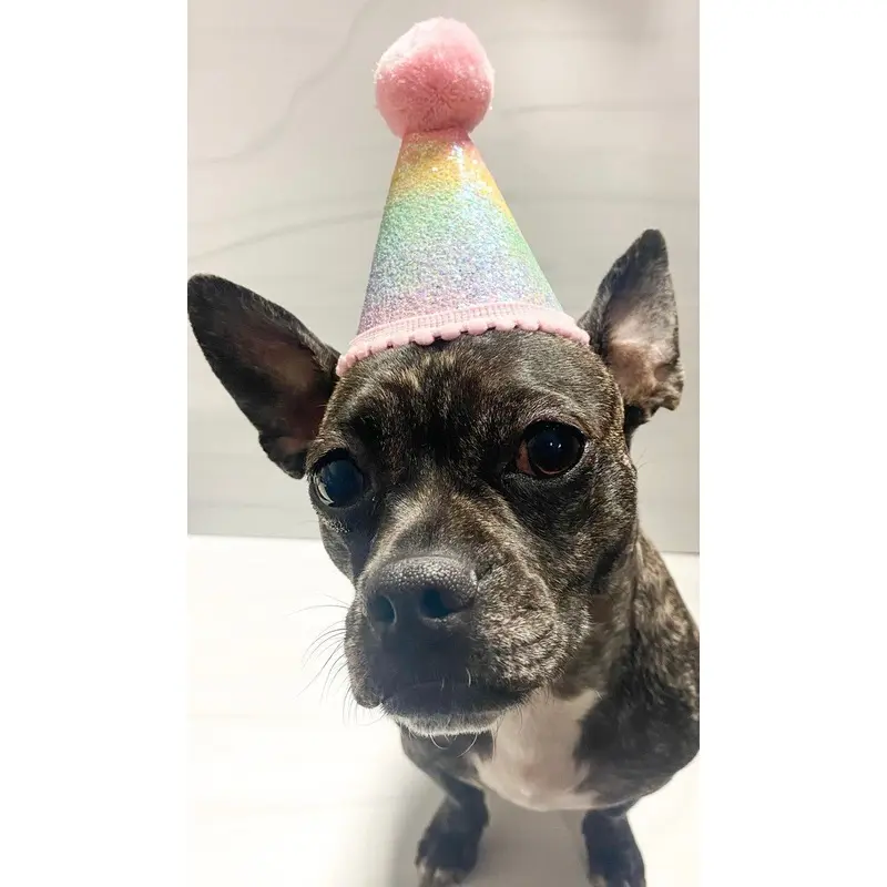 Ombr Sparkle Party Hat