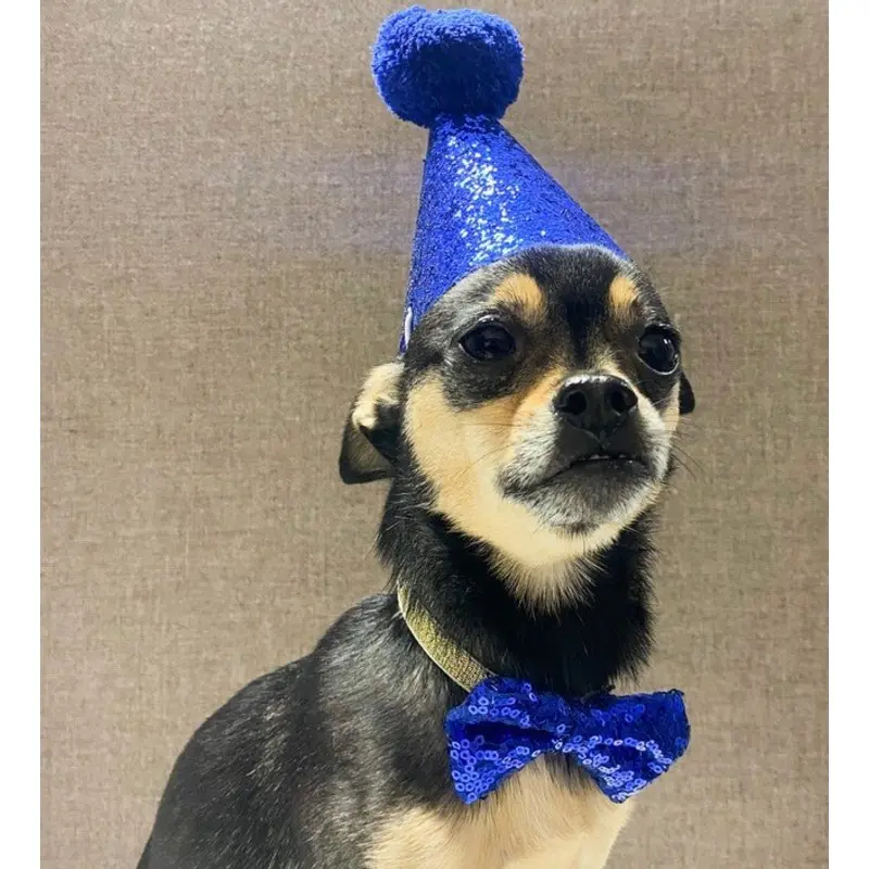 Sparkle Party Hat & Bow Tie Set in 3 Colors