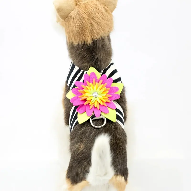 Susan Lanci Island Flower Collection Tinkie Harness in Jungle Prints