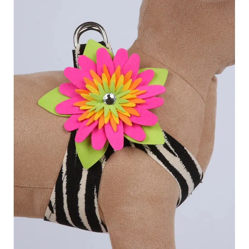 Susan Lanci Island Flower Jungle Print Collection Step In Harness