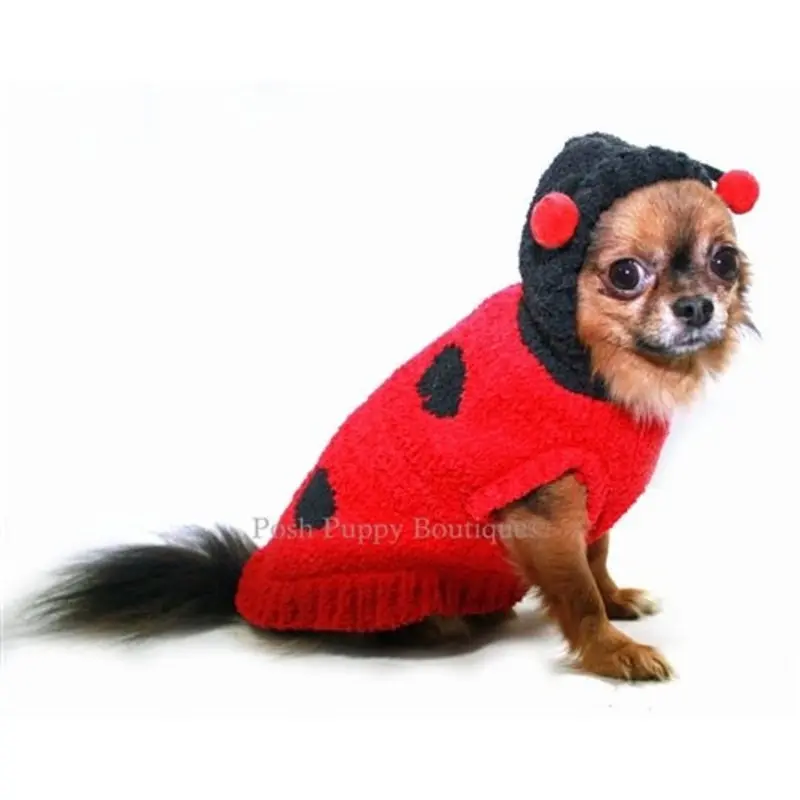 Chenille Lady Bug Hoodie Sweater