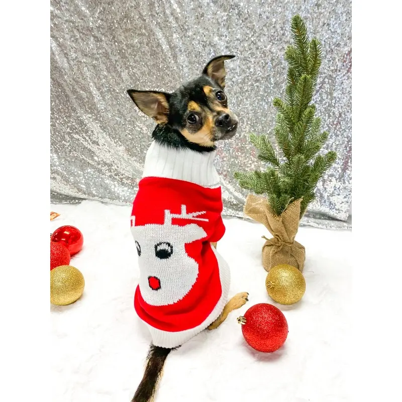 Combed Cotton Red Rudolph Holiday Dog Sweater