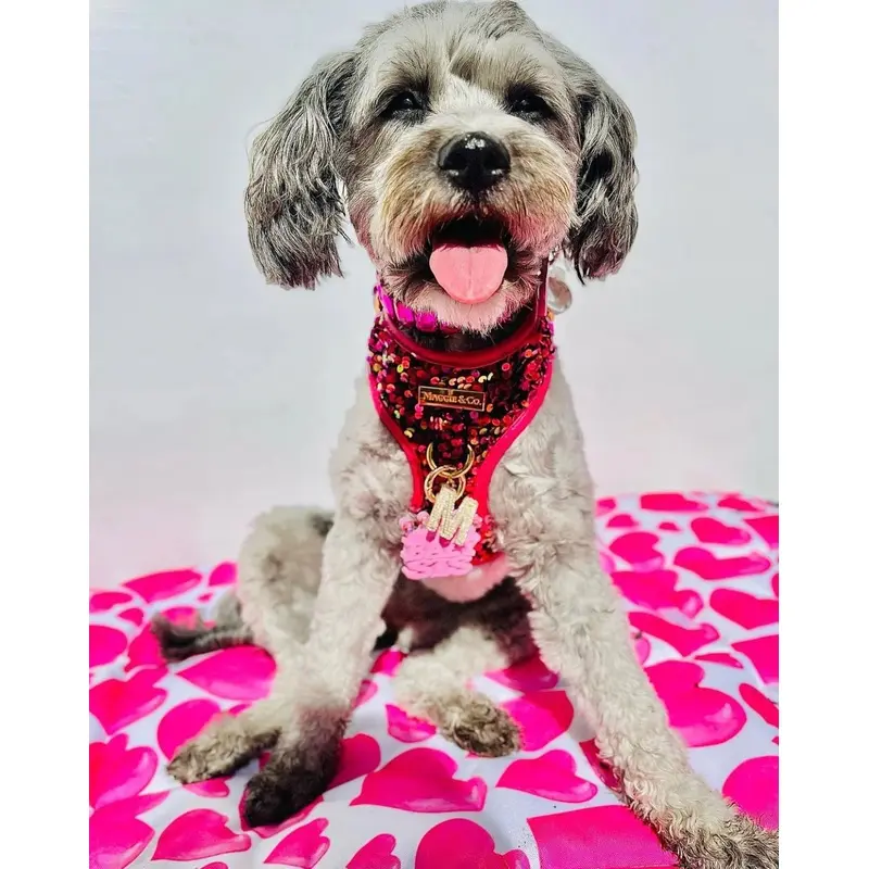 Maggie And Co. Cathryn Sequin Harness