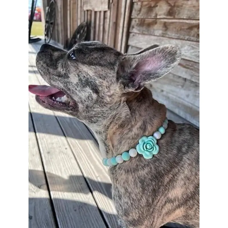 Tiffany Rose Beaded Pet Collar