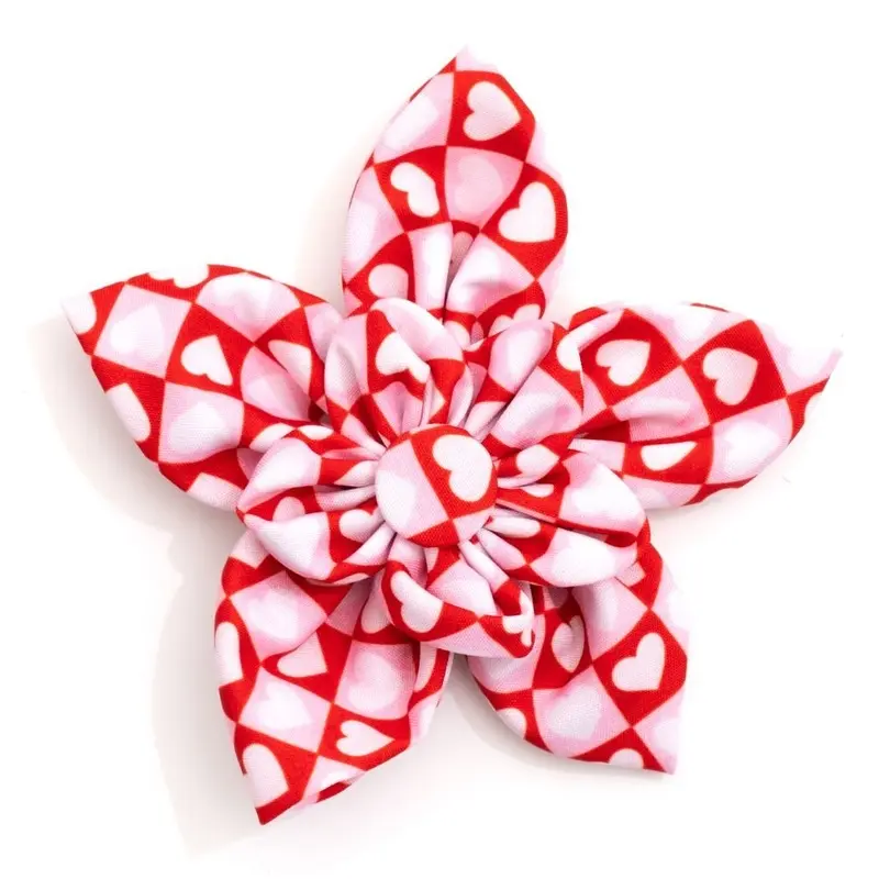 Colorblock Hearts Flower Slider
