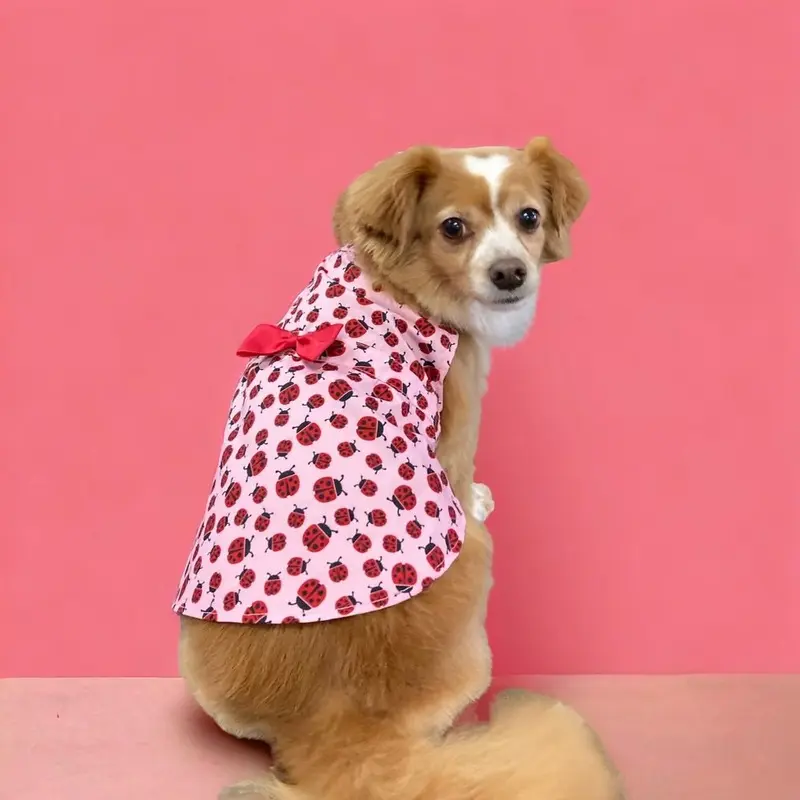 Ladybug Dress
