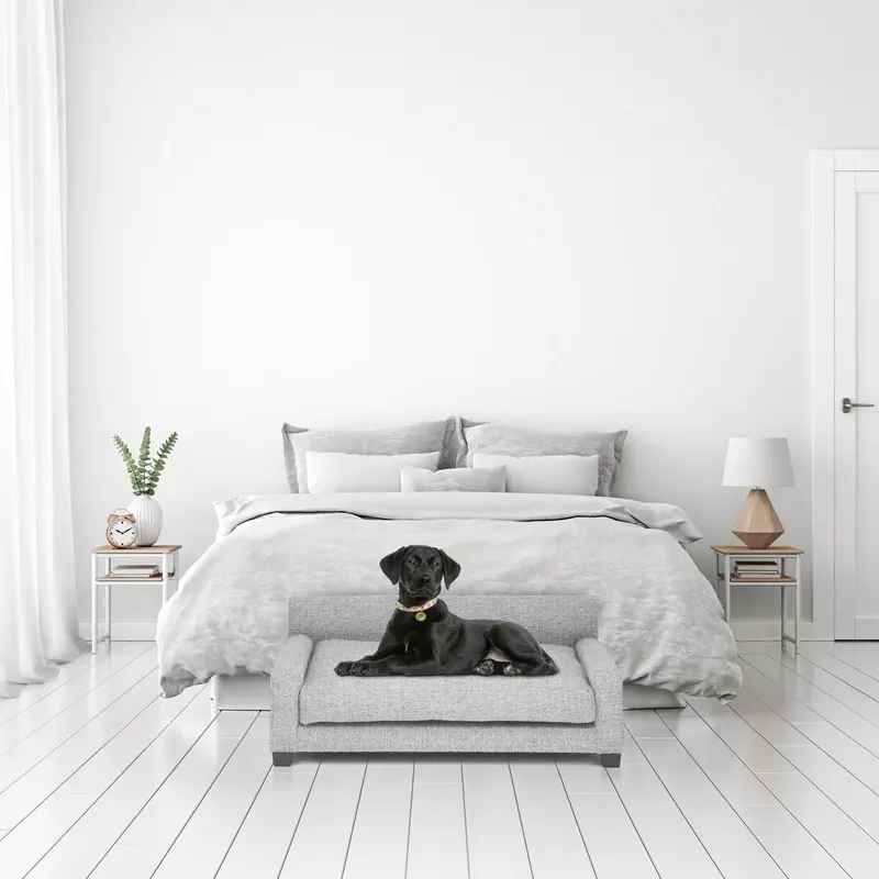Club Nine Pets Metro Orthopedic Dog Bed in Metal
