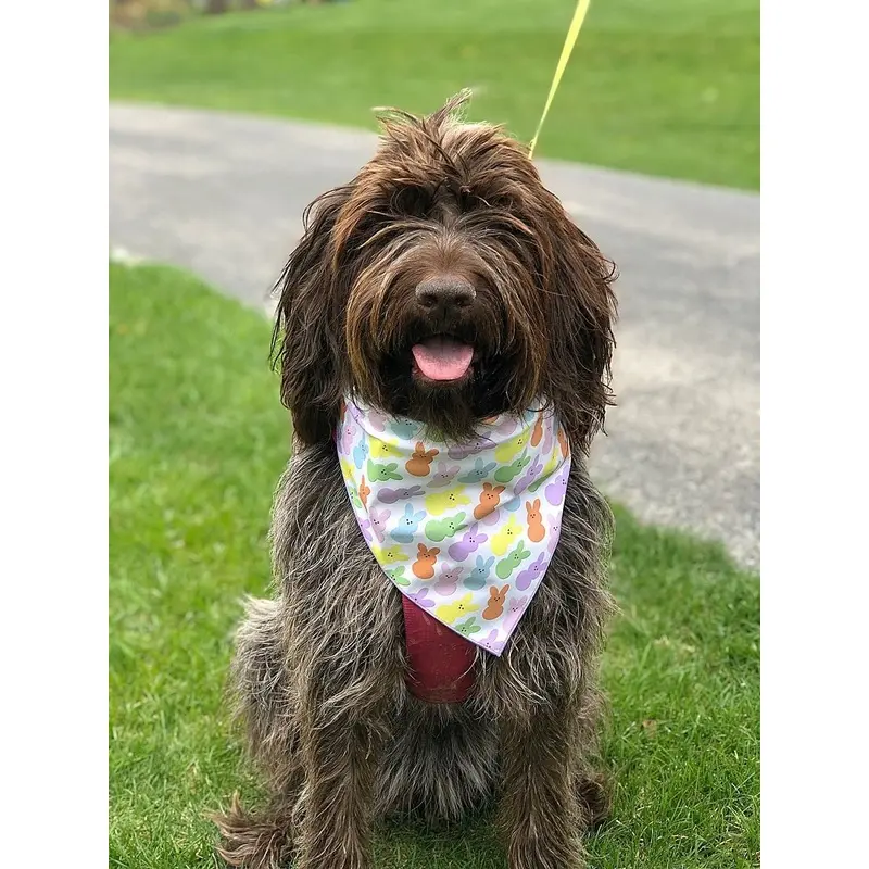 Easter Peeps Bandana