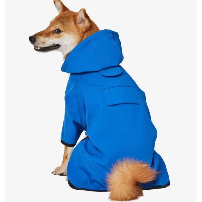 Hooded Softshell Waterproof Jacket in Dazzling Blue