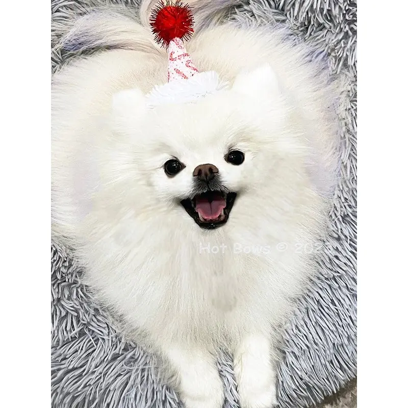 Christmas Confections Pooch Party Hat