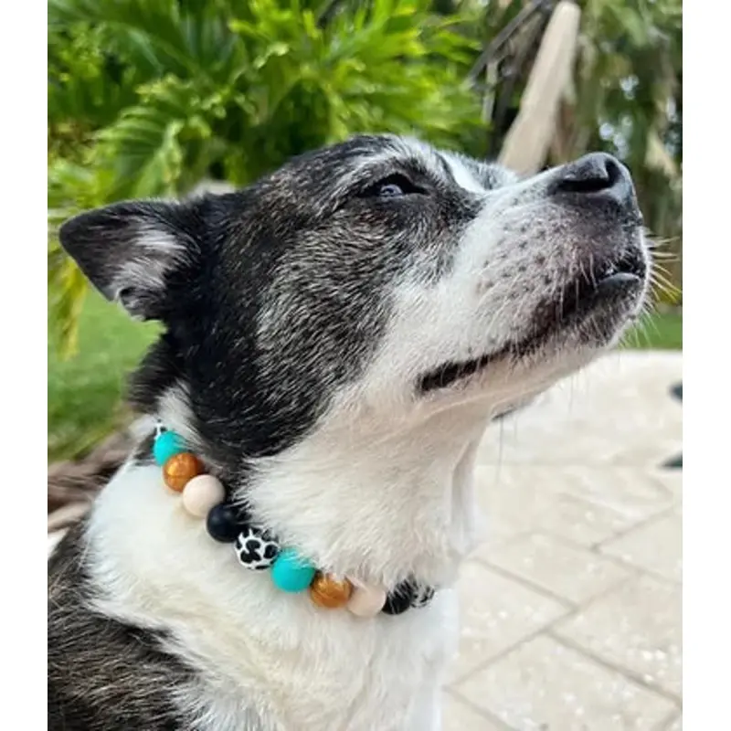 Western Glam Beaded Pet Collar