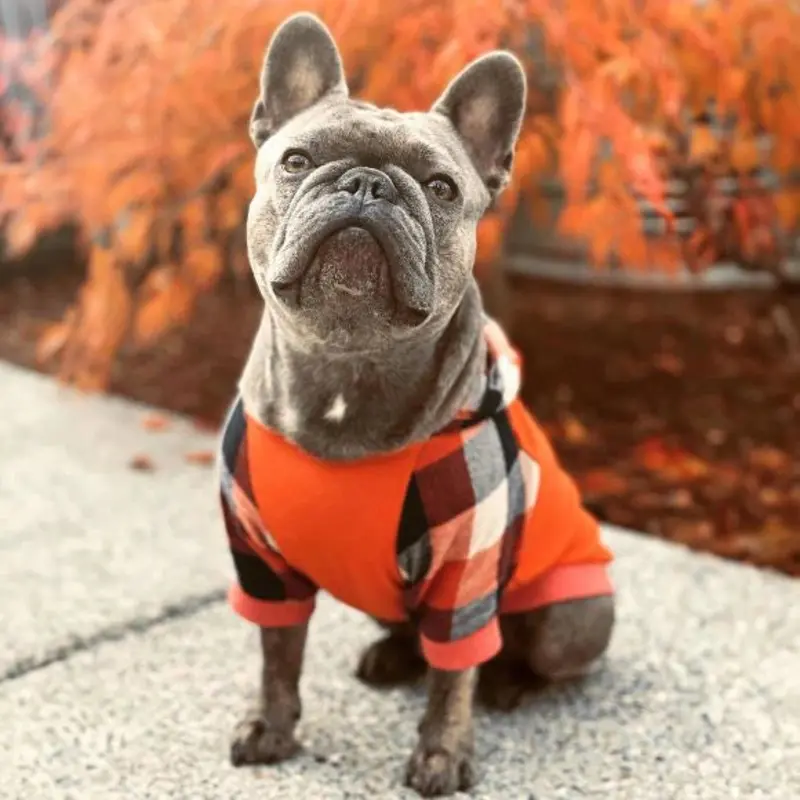 Orange Plaid Hoodie